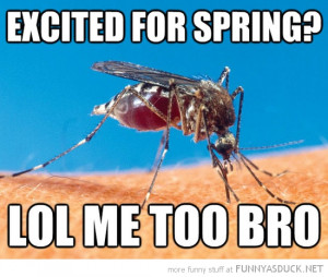 mosquito fly excited for spring me too bro funny pics pictures pic ...