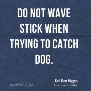 Do Not Wave Stick When Trying To Catch Dog.