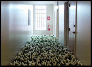 The Child Psychiatry unit with white tulips. (John Gray)