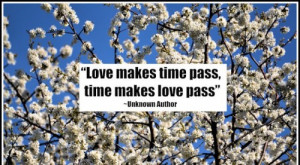 Quotes About Time Passing