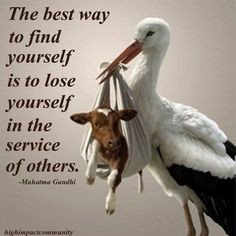 ... the service of others mahatma gandhi quote picture quotes spiritu quot