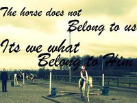 horse sayings