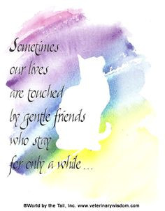 Best Friend Ever Greeting Card