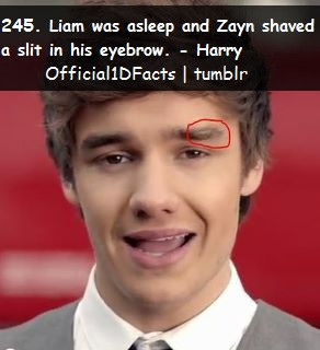 Liam's Facts♥ - liam-payne Photo