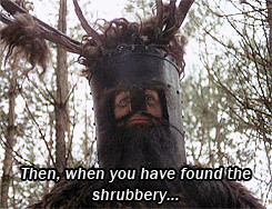 Monty Python And The Holy Grail Memes
