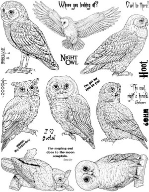 Owls Unmounted Rubber Stamp Sheet