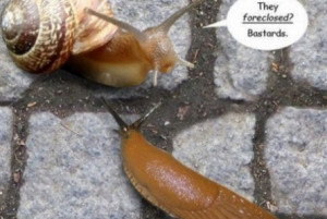 Funny snails picture | funny-pics.co