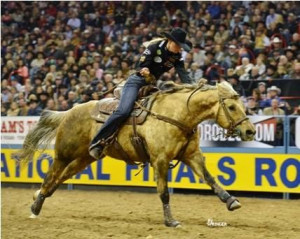 Sherry Cervi and Stingray winning Round One of the 2013 National ...