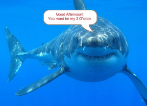 Funny Scuba Diving Quotes