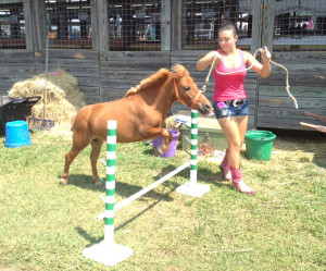 ... her mini horse windsor before competing in the 4 h miniature horse