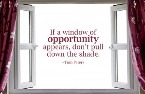Quote - Window of Opportunity by rabidbribri