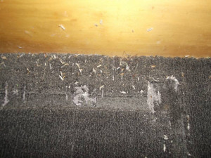 Exceed Pest Control services the following areas: