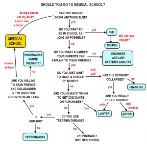 Should you go to med school?
