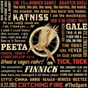 Catching Fire Quotes And Sayings ~ Catching Fire Quotes [l] iPod Touch ...
