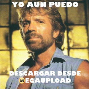 Chuck Norris Meme - Quotepaty.com