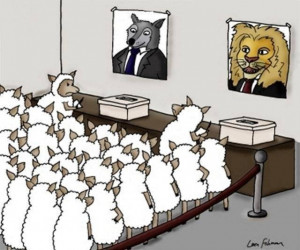 Sheep On Voting For a Lion Or a Wolf On Election Day