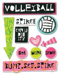 Funny Volleyball Quotes