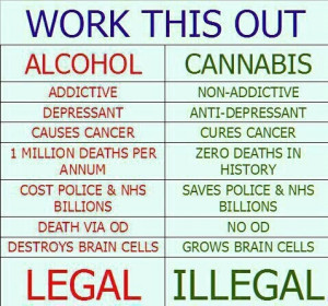 Alcohol vs Cannabis