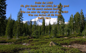 Beauty in Nature Bible Verses http://www.pic2fly.com/Beauty+in+Nature ...