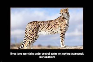 ... -ANDRETTI-self-empowerment-quote-MOTIVATIONAL-POSTER-24X36-cheetah
