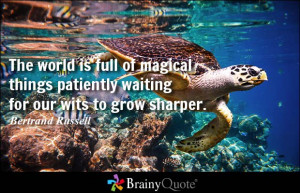 picture quotes share our beautiful quote pictures on facebook twitter ...