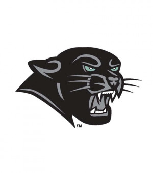 Pink Panther Head Logo Mugs