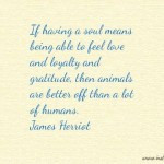 James Herriot quote on animals