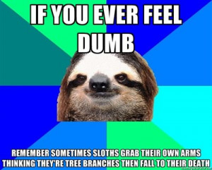 Deez Nuts Meme Sloth Sloths