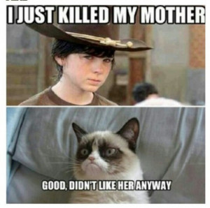 Here is Part 2 of our Funny Walking Dead Memes list. Hope it was worth ...