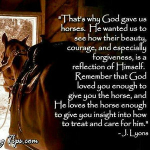 Meaningful Horse Quotes