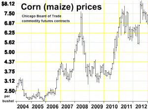 This 2013 will be near chartsus corn