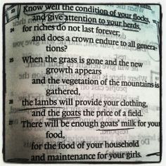 The shepherds creed More