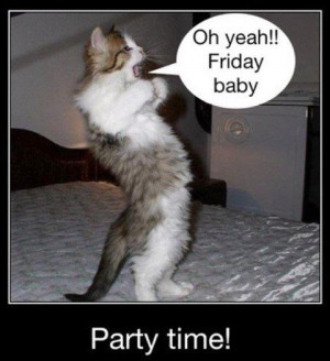 Cats’ Party Friday!