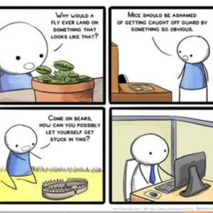 One definition for trap is : 