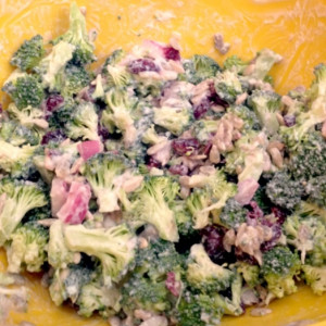 Broccoli salad! 3 broccoli crowns 1/3c craisins 1/3c sunflower seeds 1 ...
