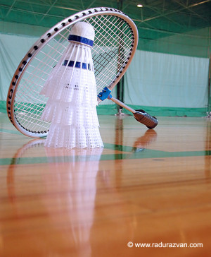 delta sports complex badminton