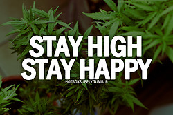 ... loud lifted Amsterdam weed quotes hotbox hotboxsupply marijuana quotes