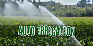 YOU ARE HERE: Garden Irrigation in Pietermaritzburg