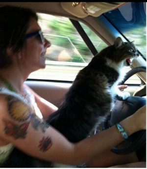 Stay in your own lane b*tch!