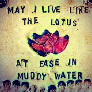 No Mud. No Lotus.