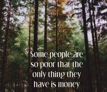 forest, inspiration, life, love, nature, peace, quotes