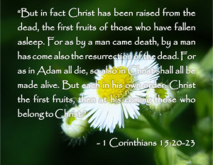 Bible Quotes About Death - 1 Corinthians 15:20-23