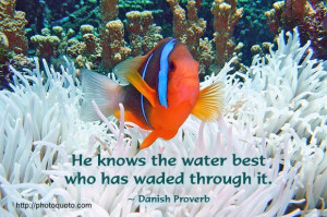 He knows the water best who has waded through it. ~ Danish Proverb