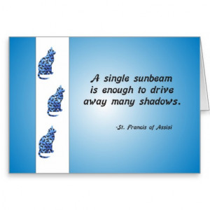 Volunteer Appreciation Cat and Sunbeam Quote Greeting Cards