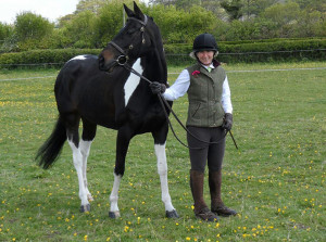 Meet the SCE Horse Riding Horses