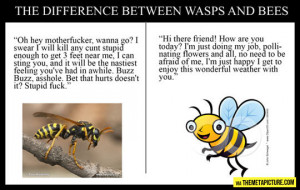 The difference between wasps and bees…