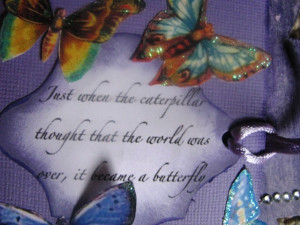 Quotes On Butterfly And Transformation