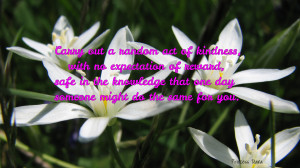 Carry out a random act of kindness... quote wallpaper