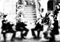 Sandra Collier Holiday Party