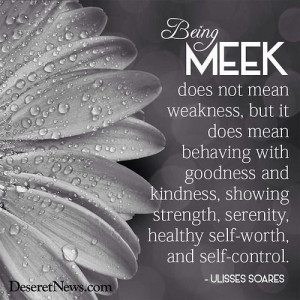 Meekness DOESN'T mean weakness!